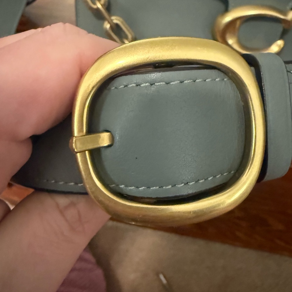 Coach Sage Green Tabby 30 Crossbody Bag with Gold Chain - Picture 7 of 14